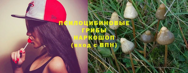 стаф Сафоново