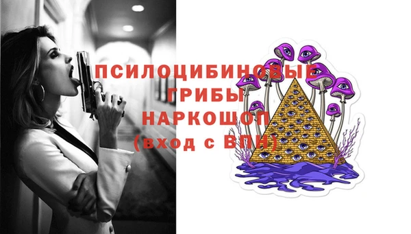 гашик Киренск
