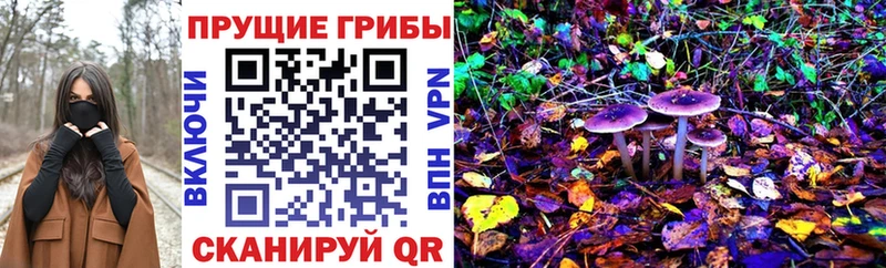 Галлюциногенные грибы Magic Shrooms  Купить где  Заинск 