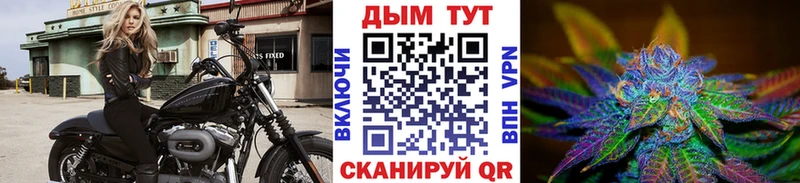 Купить где  Заинск  МАРИХУАНА семена 